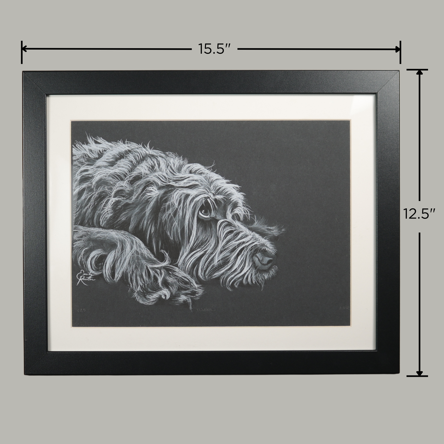 Mabel - Wirehaired Pointing Griffon