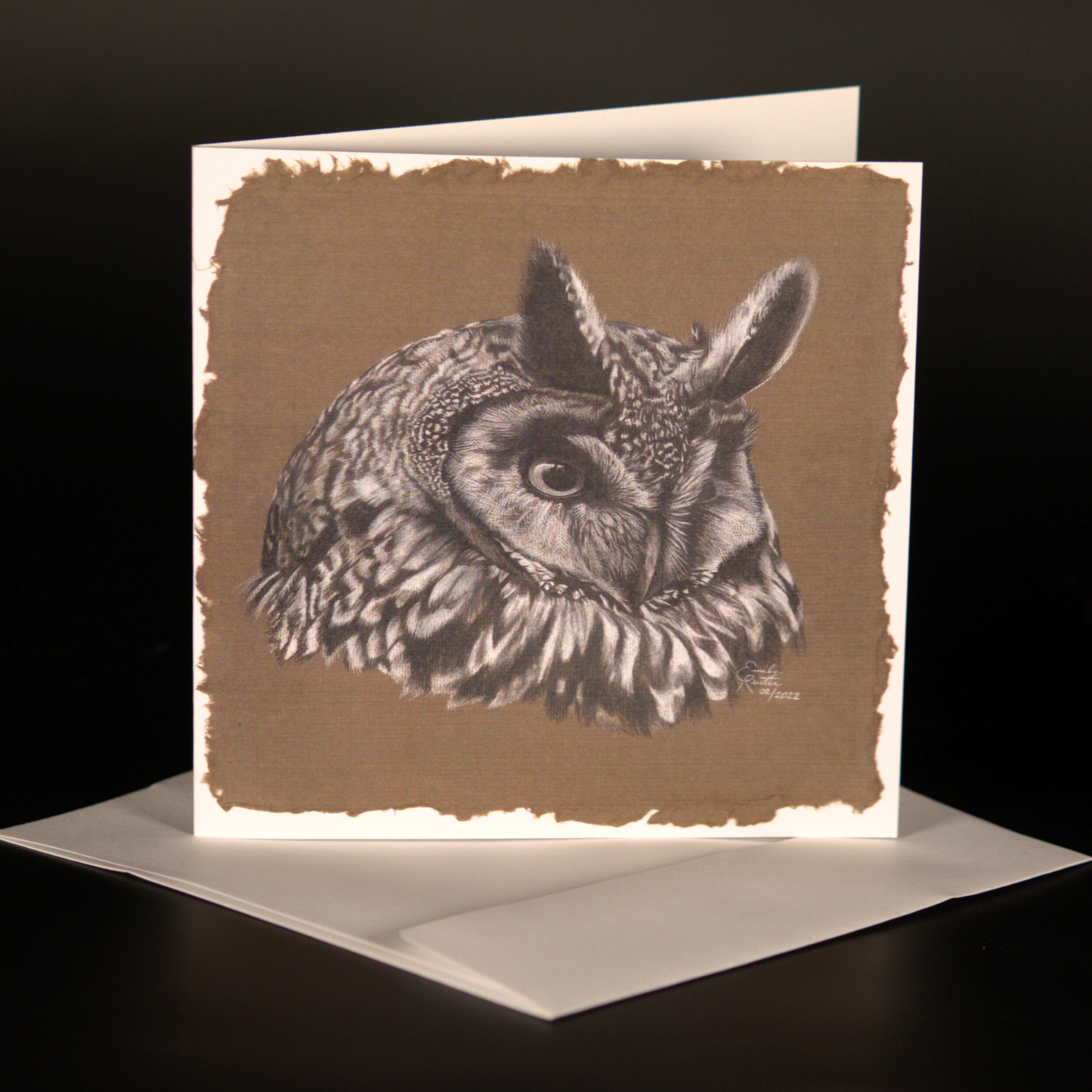 Long Eared Owl - Card