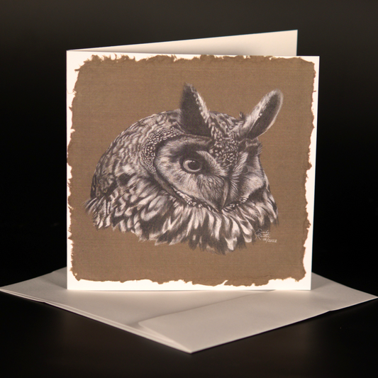 Long Eared Owl - Card