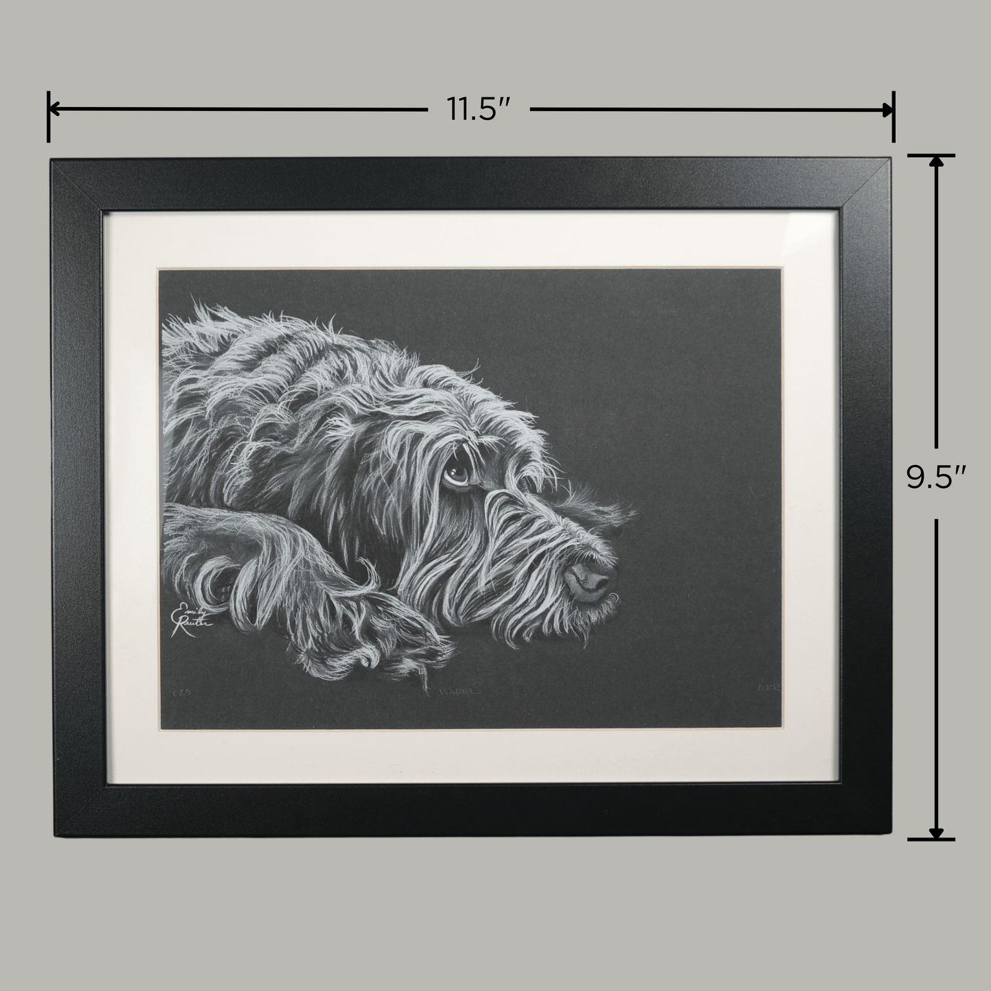 Mabel - Wirehaired Pointing Griffon