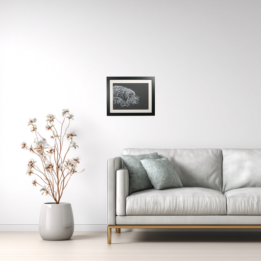 Mabel - Wirehaired Pointing Griffon