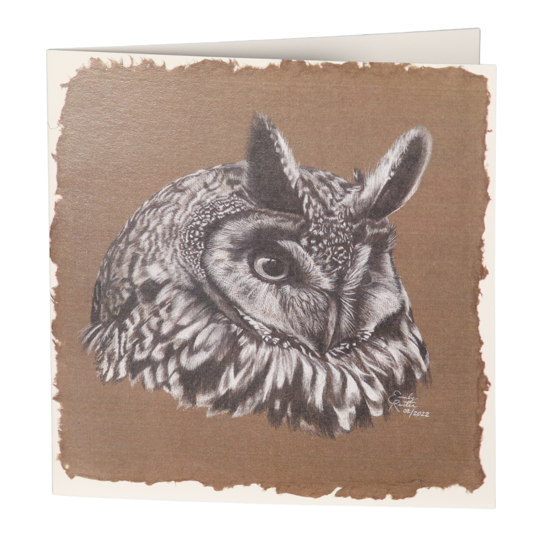 Long Eared Owl - Card