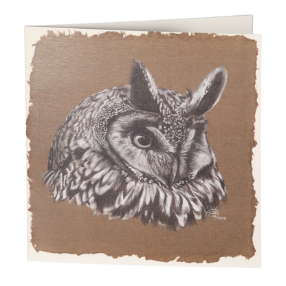 Long Eared Owl - Card