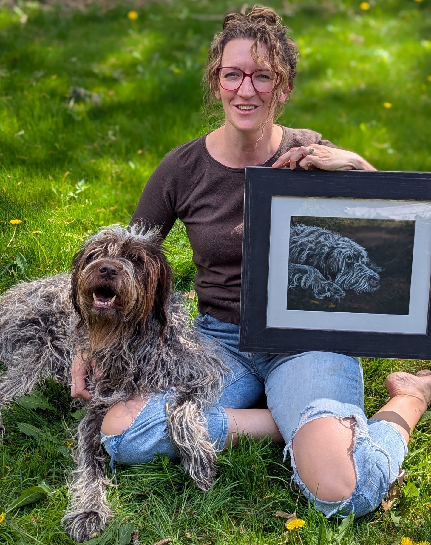 Mabel - Wirehaired Pointing Griffon