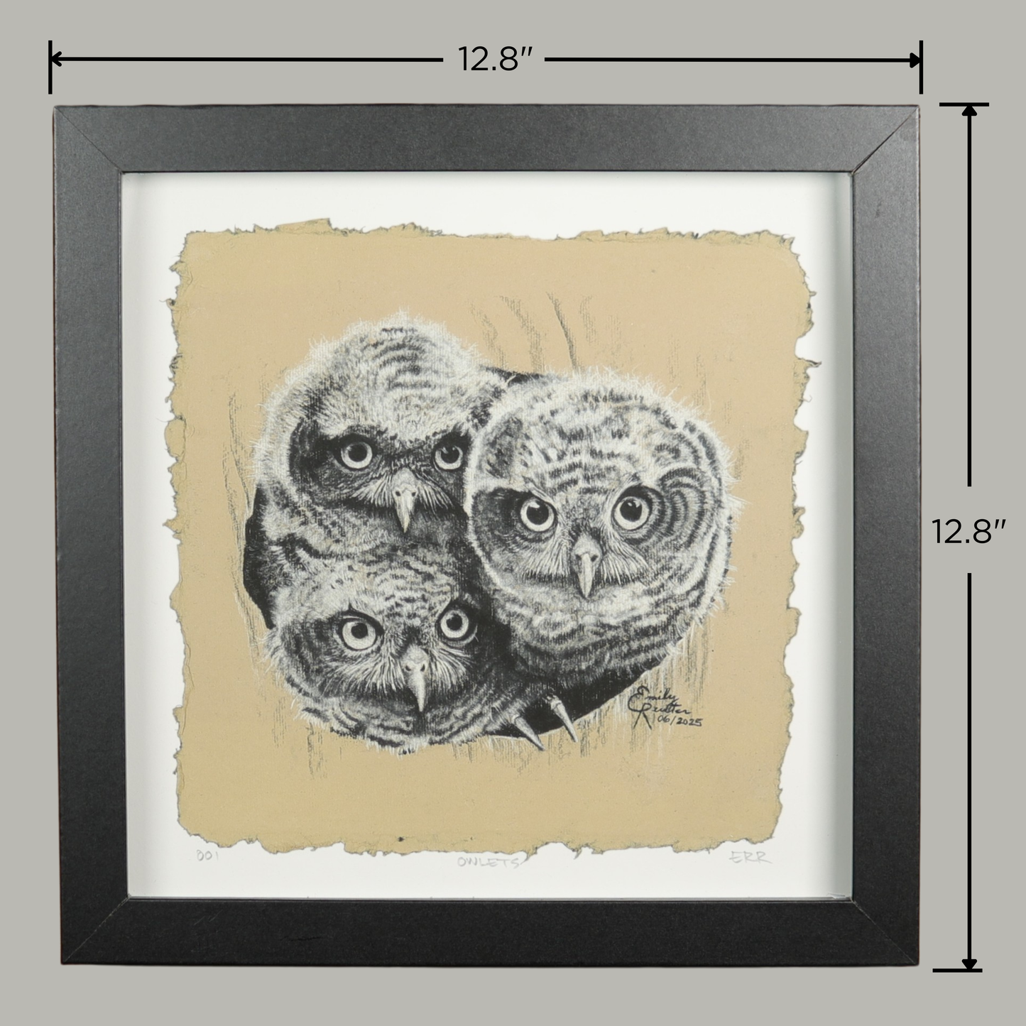 Owlets