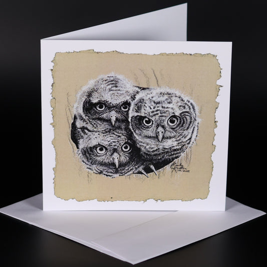 Owlets - Card